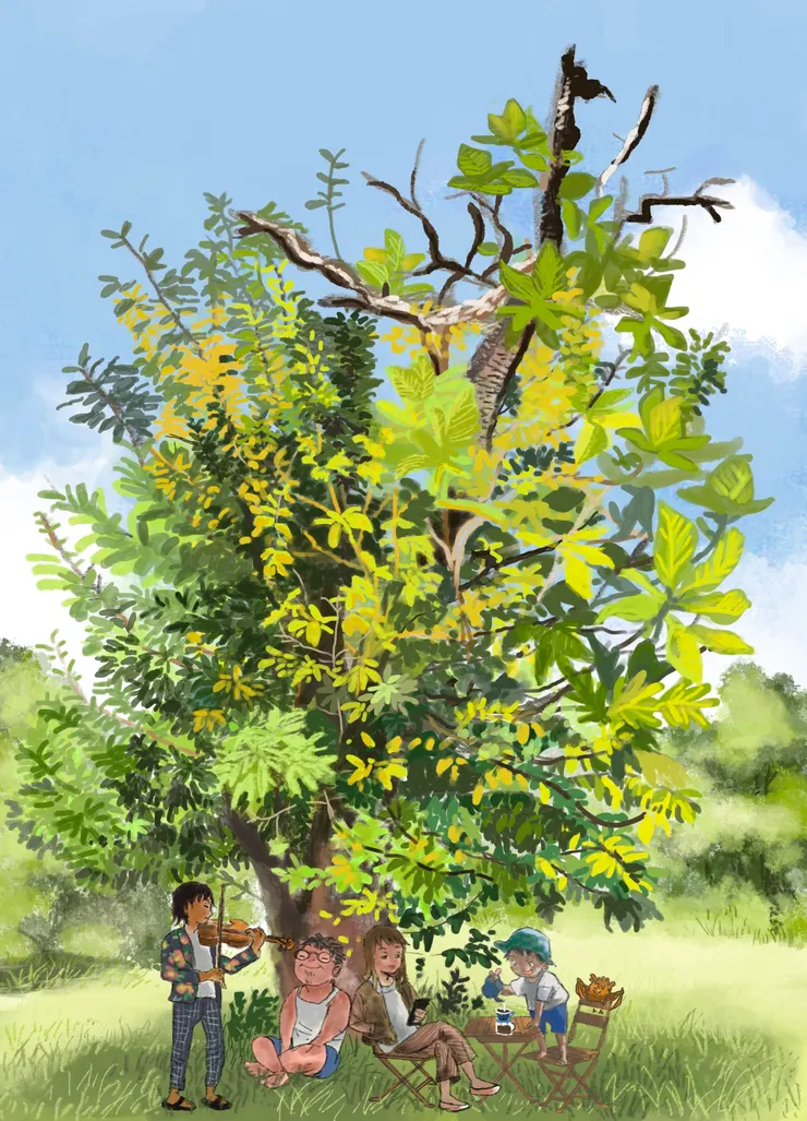 vocus|新世代的創作平台