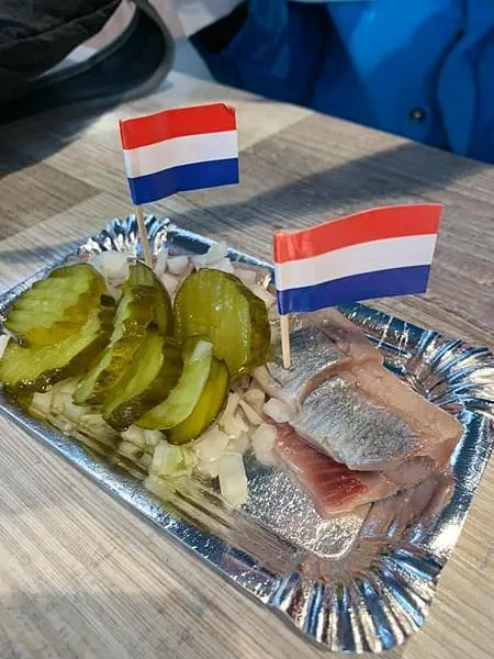 300天環遊世界之旅:第一站荷蘭7日遊