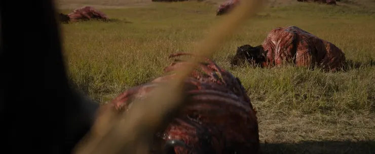 【終極戰士:獸獵者】(Prey,2022)