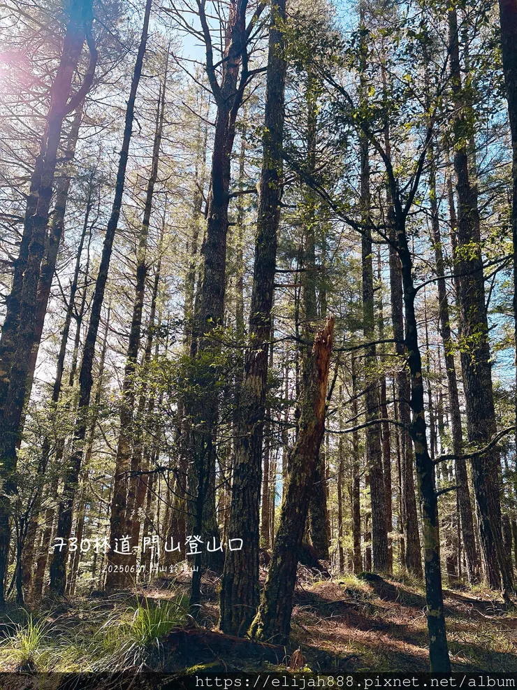 【閂山鈴鳴山.挑戰兩日走50公里】王小明民宿/730林道/ 