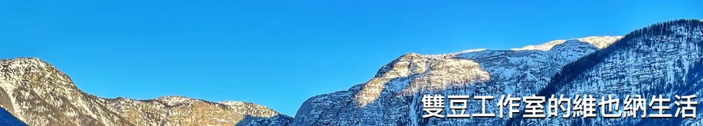 雙豆工作室的維也納生活的沙龍