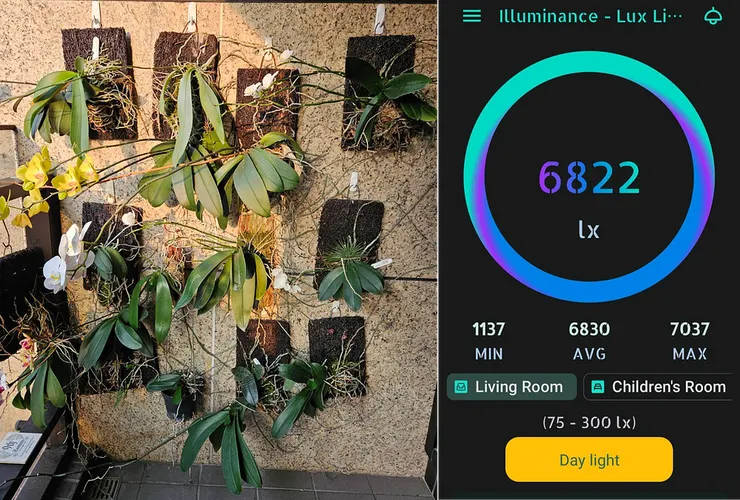 圖二、使用照度計量測環境光源，可以分早上、中午、下午量測光強度，可以大概判斷環境光是否夠足夠。