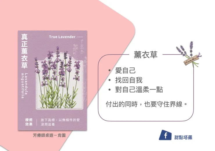 薰衣草｜無條件的愛