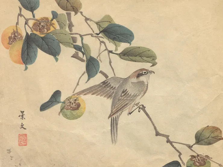 福井月齋：景文花鳥畫譜