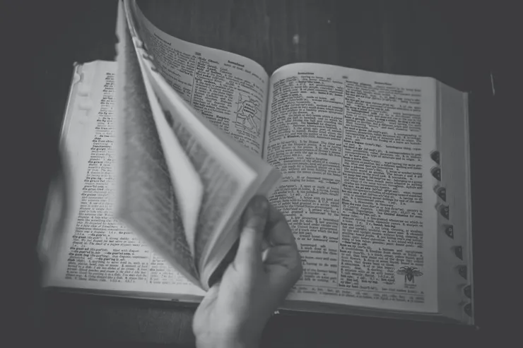 Photo by Snapwire on Pexels. com