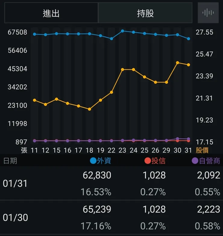 三大法人：持股