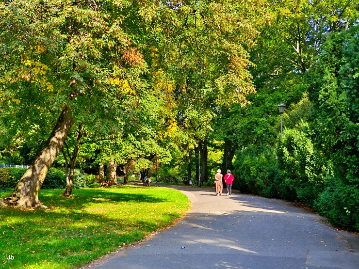 【偌大中央公園此刻像我們獨擁】