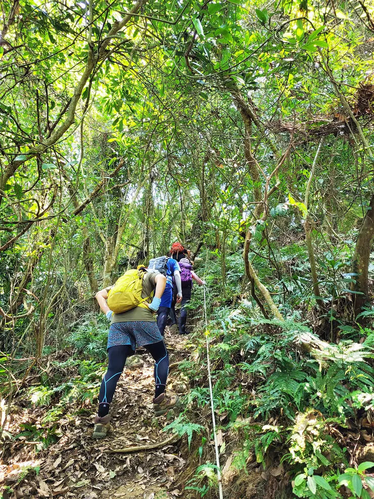 ▲折返金童山叉路，陡上稜線