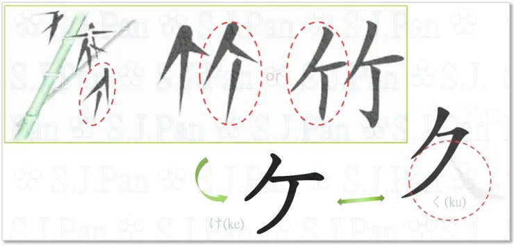 形似半個「竹」字的「ケ」vs 字源為「久」的「ク」。