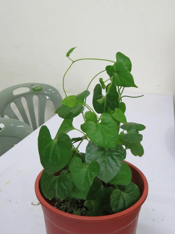 淡水社大106.12.26