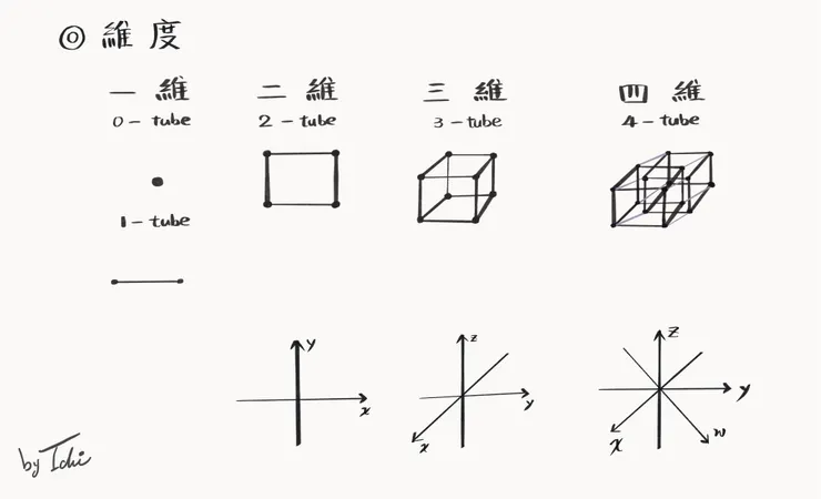 維度：1D, 2D, 3D, 4D 