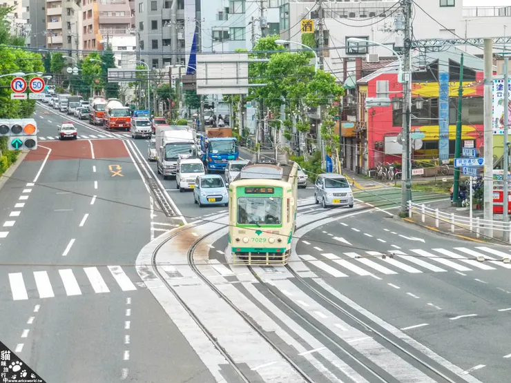 圖.飛鳥山公園前天橋上拍電車。