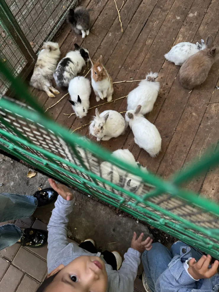 兩種動物(?)都很可愛，要融化了~