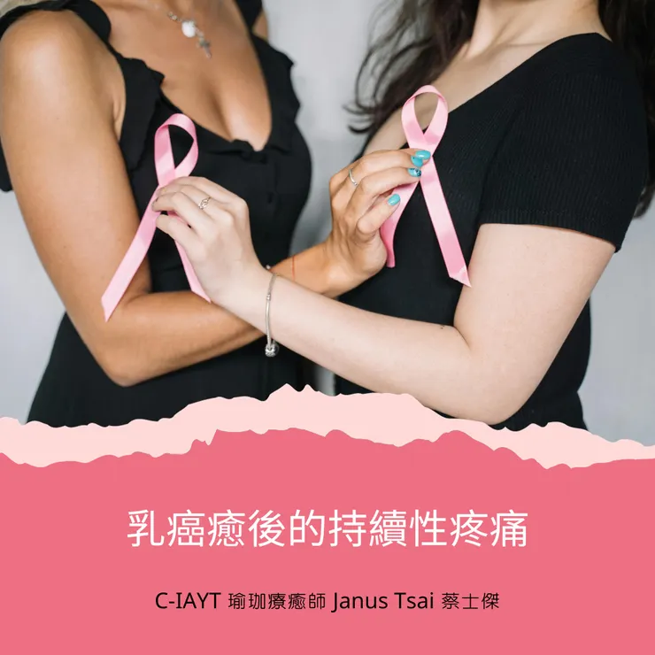 Photo by Anna Tarazevich on Pexels