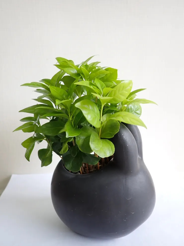 士林社大114.09.08