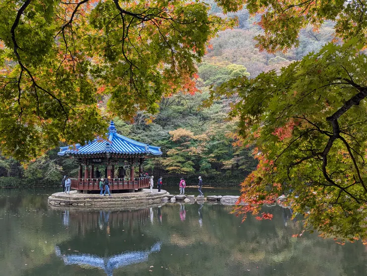 先前看其他人照片,這角度都很紅啊~