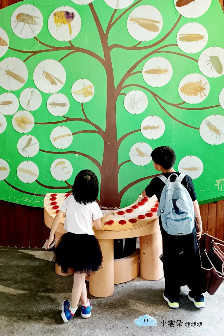 一旁的認識昆蟲的解說燈，按了會亮燈