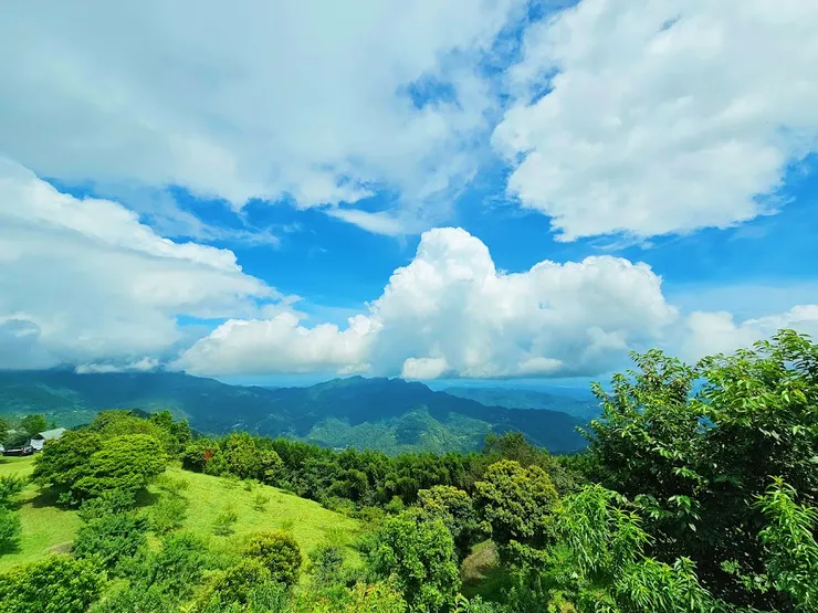 雲朵千變萬化。