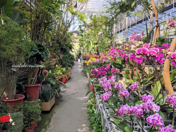 主溫室、結帳區