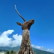 時間的朋友 Max的沙龍