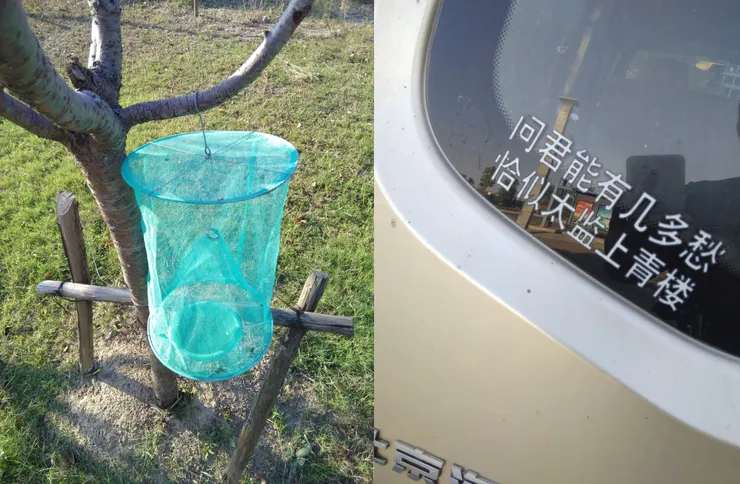 濕地公園(自拍)