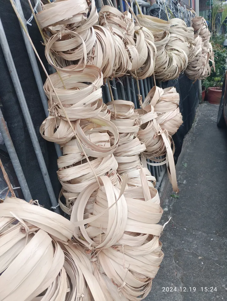 曝曬，陰乾懸掛備用