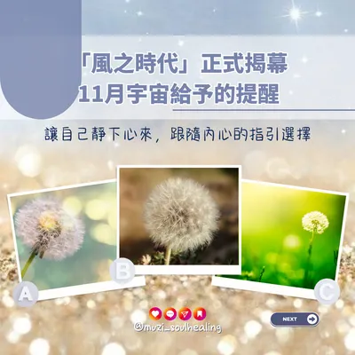 ｜大眾占卜🔮11月宇宙給予的提醒｜「風之時代」正式揭幕