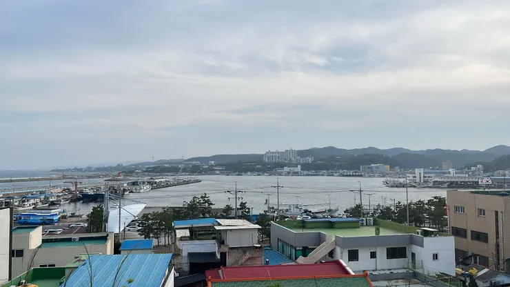 公園半山腰望去的海景。