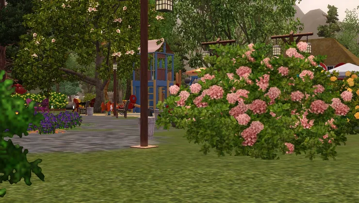 從這個角度便看到各處的花兒都各有顏色和姿態。