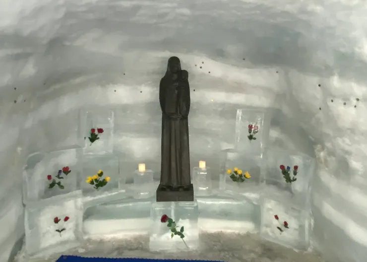 冰凍的花跟錢幣 🤣