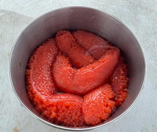 鮭魚卵 / 照片來源 :&nbsp;陳郁如的奇幻世界