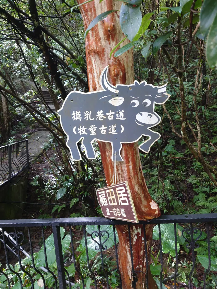 照片左側的步道是淡蘭古道南路的一部分