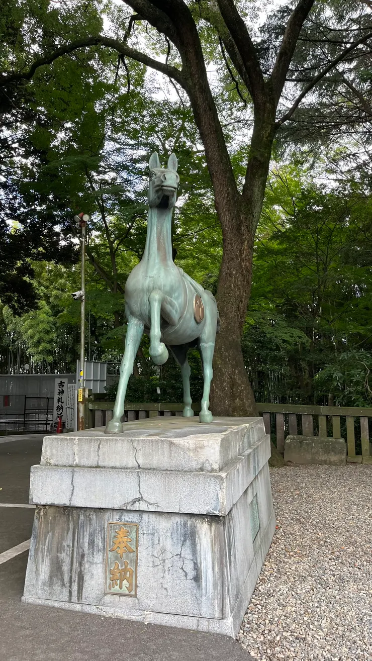 在神社內是相當尊敬的角色。