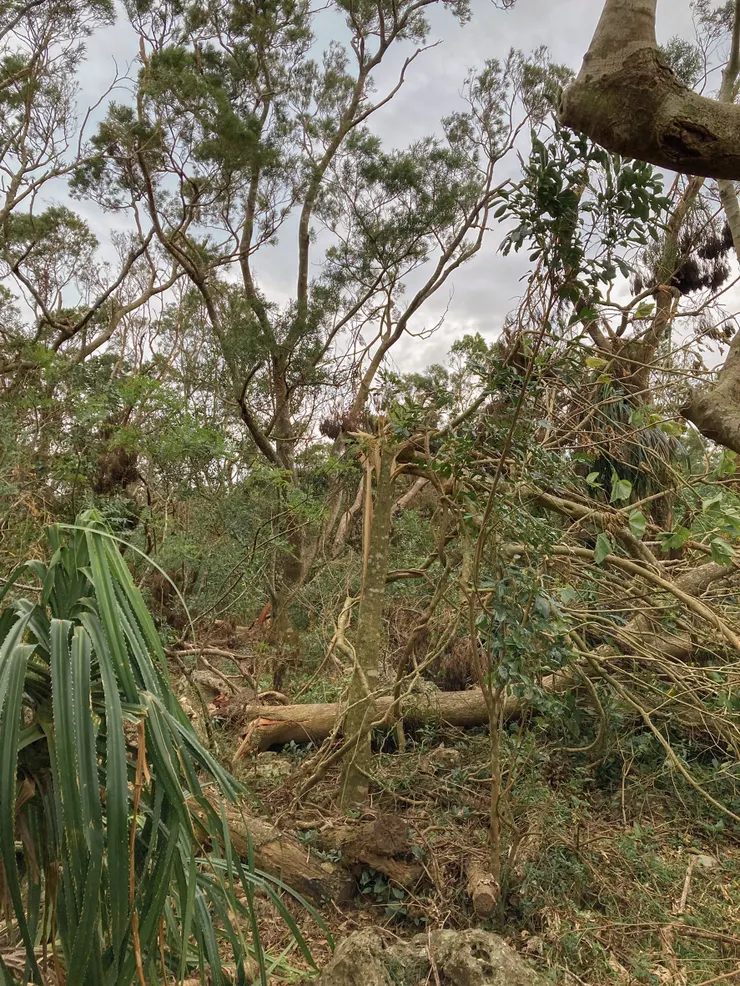 往【五分亭】走沒多久就被擋住