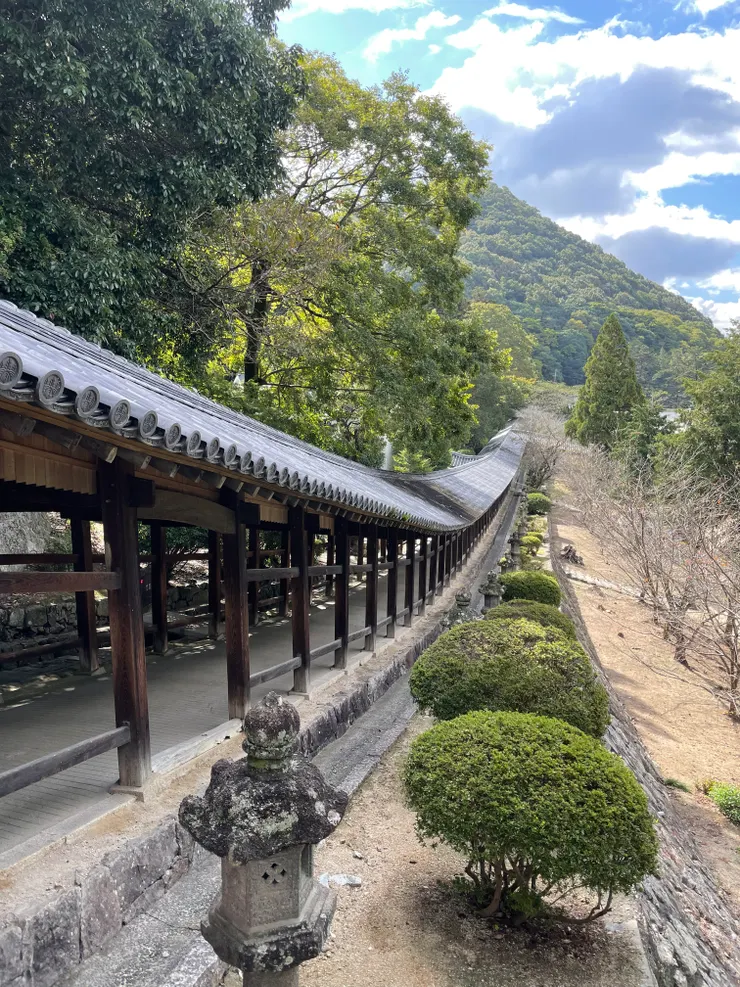 另一個角度拍也美美的