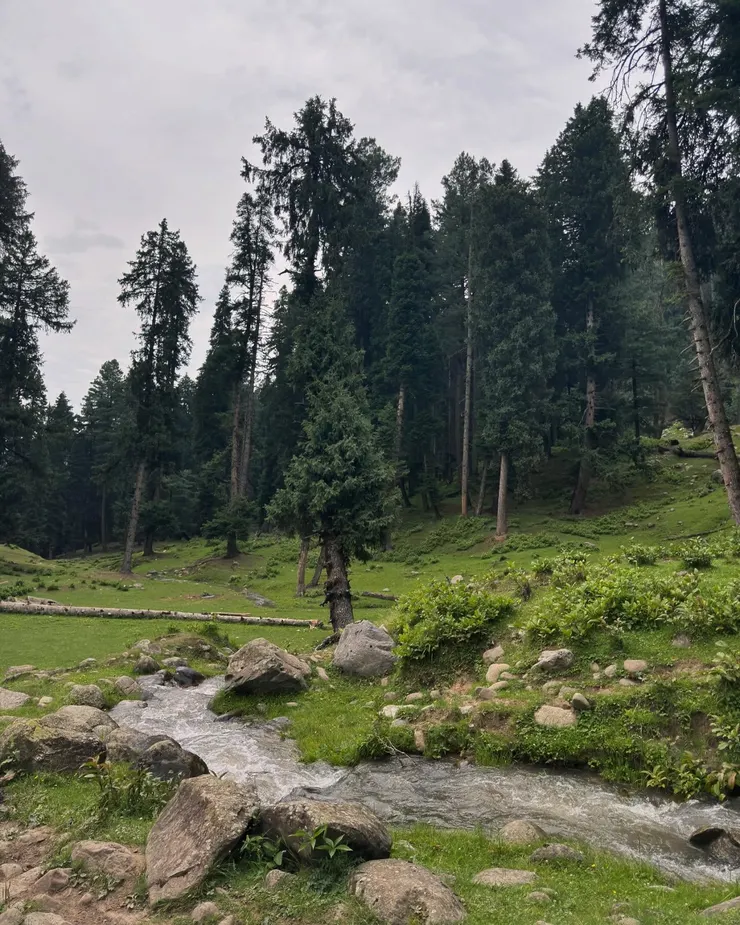 應該是 Yousmarg 的第三個景點