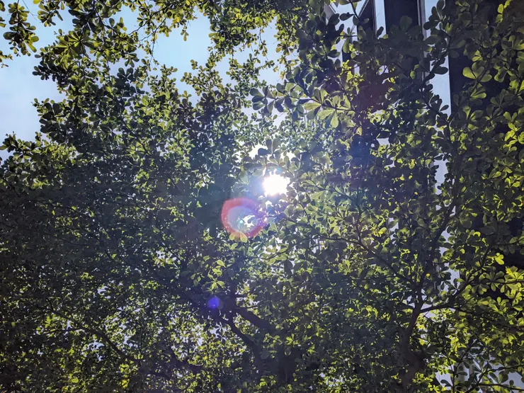 比起看手機，喜歡看天空多很多