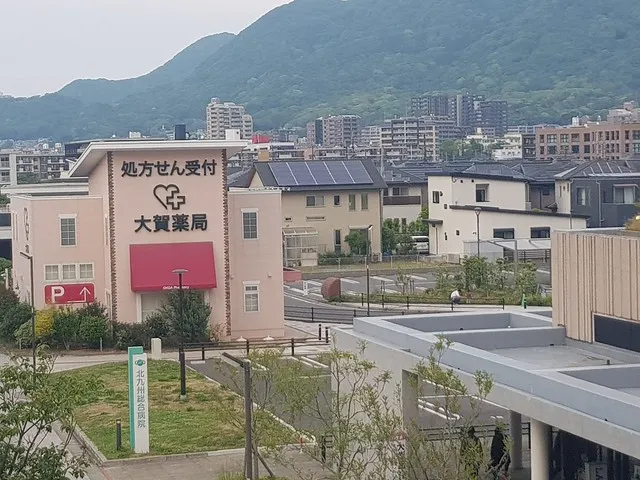 從JR城野驛北口前天橋，望向舊小倉陸軍兵器補給廠改建而成的社區