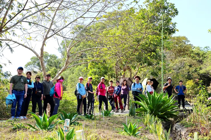 步道上的巨大的龍舌蘭
