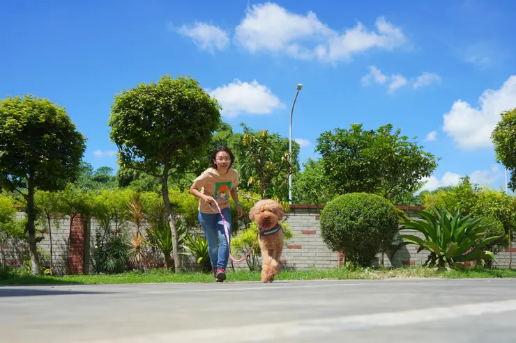 圖說:帶毛孩一起到戶外玩耍享受陽光的同時,也須做好保護措施。(資料來源:臭味滾)