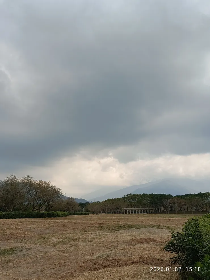 衰草淡薄空相對