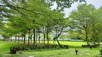 ARK Manor 方舟莊園