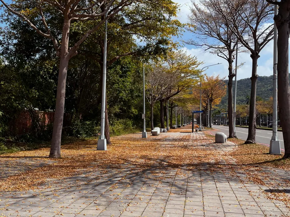 好晧生活 | 黃晧芸