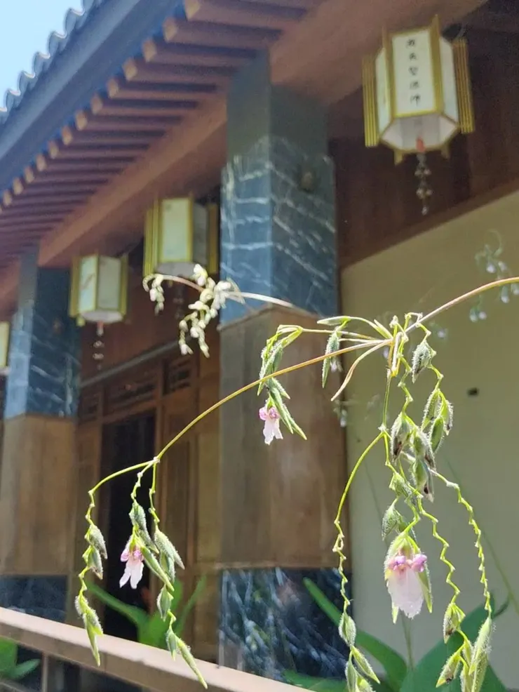 園區內植物非常多樣化...很多植物我叫不出名字
