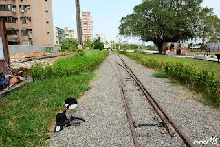 兩線真正的分歧轉轍器在這裡
不過並沒有把三軌功能一同修復(向北拍)