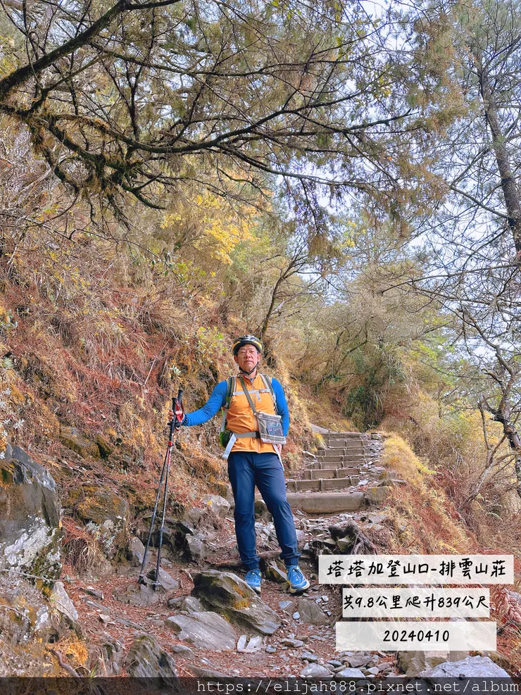 【玉山主峰西峰.兩天兩夜】南投縣信義鄉的望鄉部落艾度民宿/塔