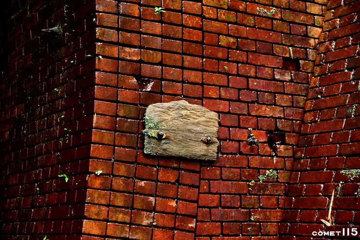 北口牆上的木牌已經看不見字跡