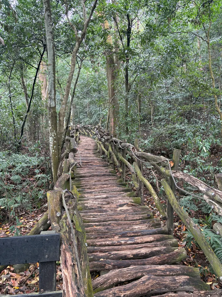 長長的木棧道