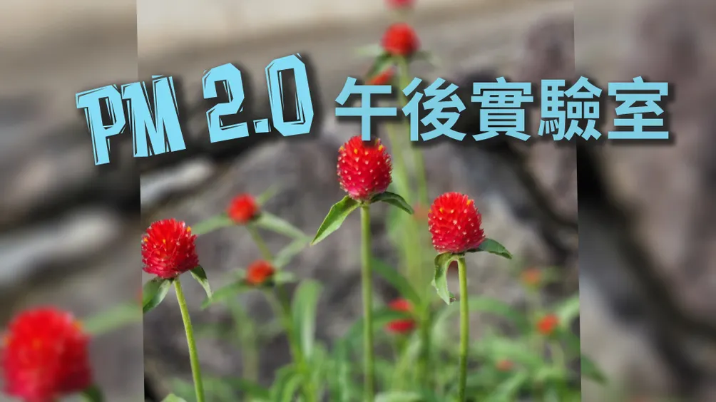 PM2.0 午後實驗室