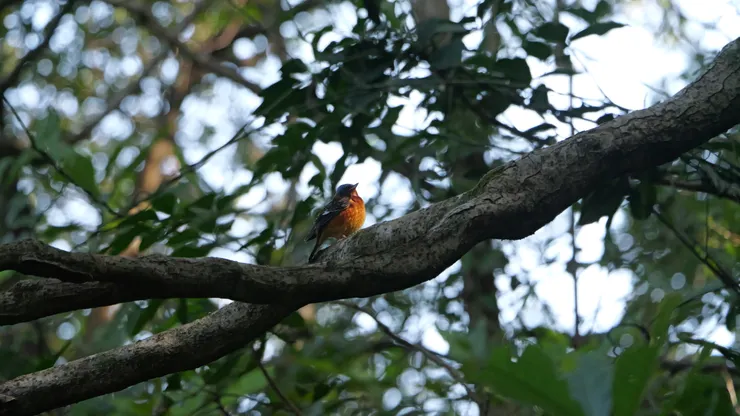 只有上半身在動，下身沒有動過